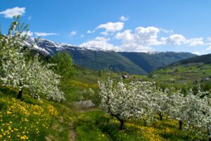 Splendor of Norway